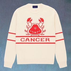 Gyles & George Zodiac Sweater in Cancer. Size Small. New with Tags.